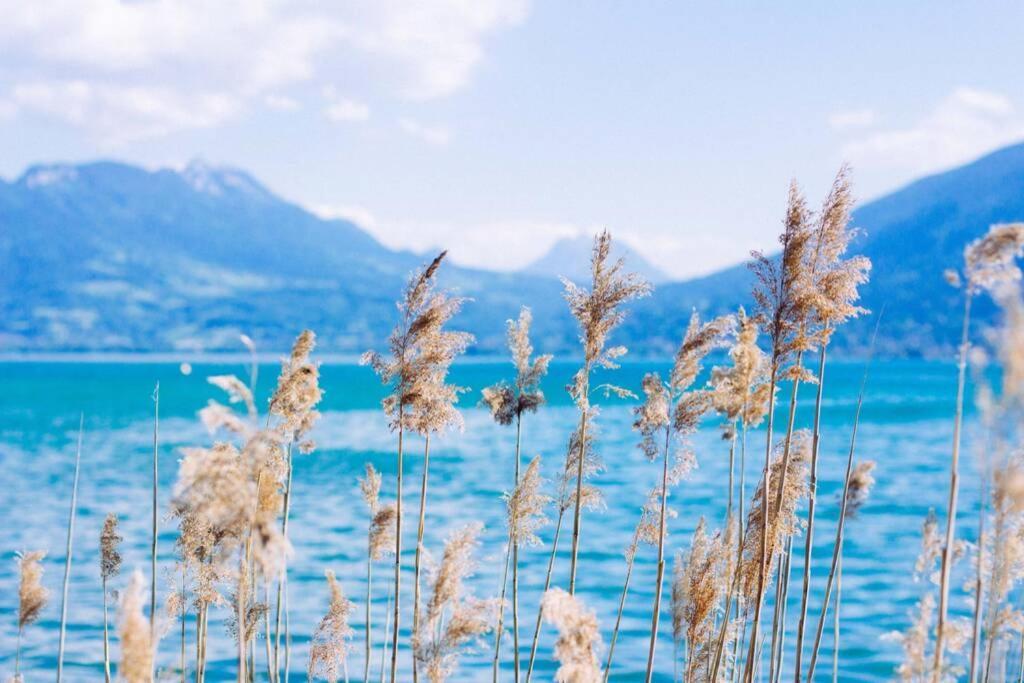 Apartament Le Continental Beau T2 Plein Centre + Parking Annecy Zewnętrze zdjęcie