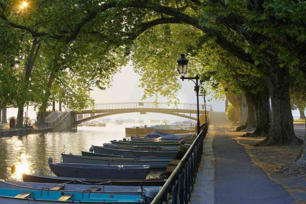 Apartament Le Continental Beau T2 Plein Centre + Parking Annecy Zewnętrze zdjęcie
