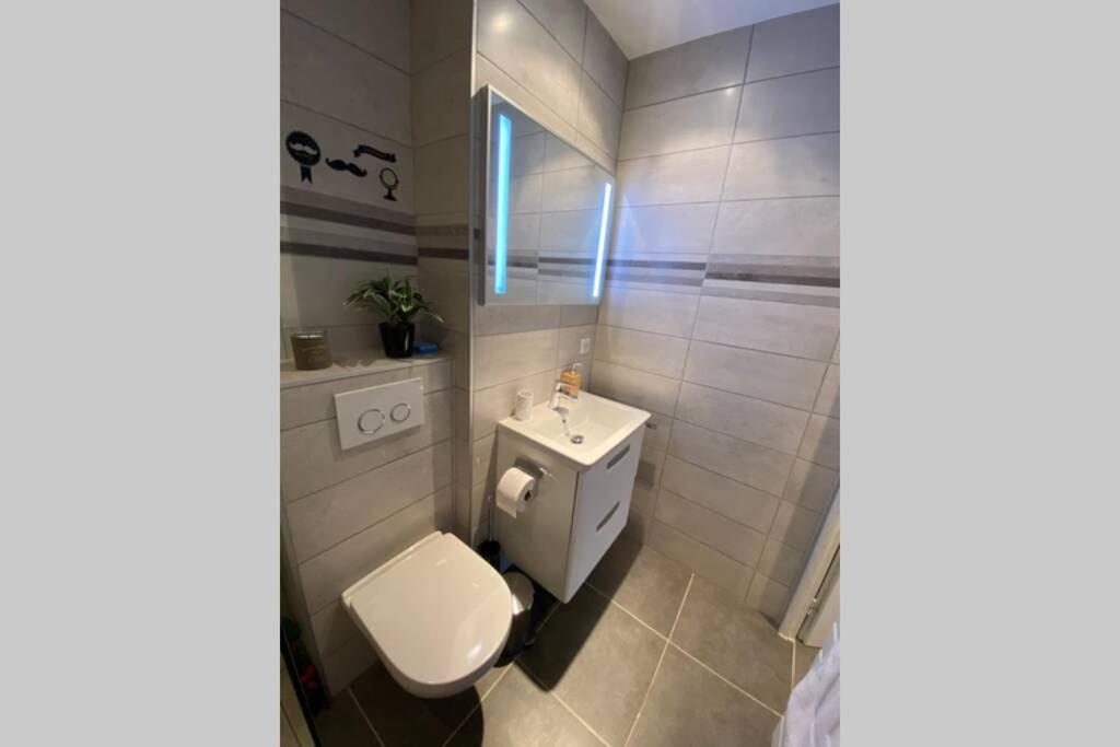 Apartament Le Continental Beau T2 Plein Centre + Parking Annecy Zewnętrze zdjęcie
