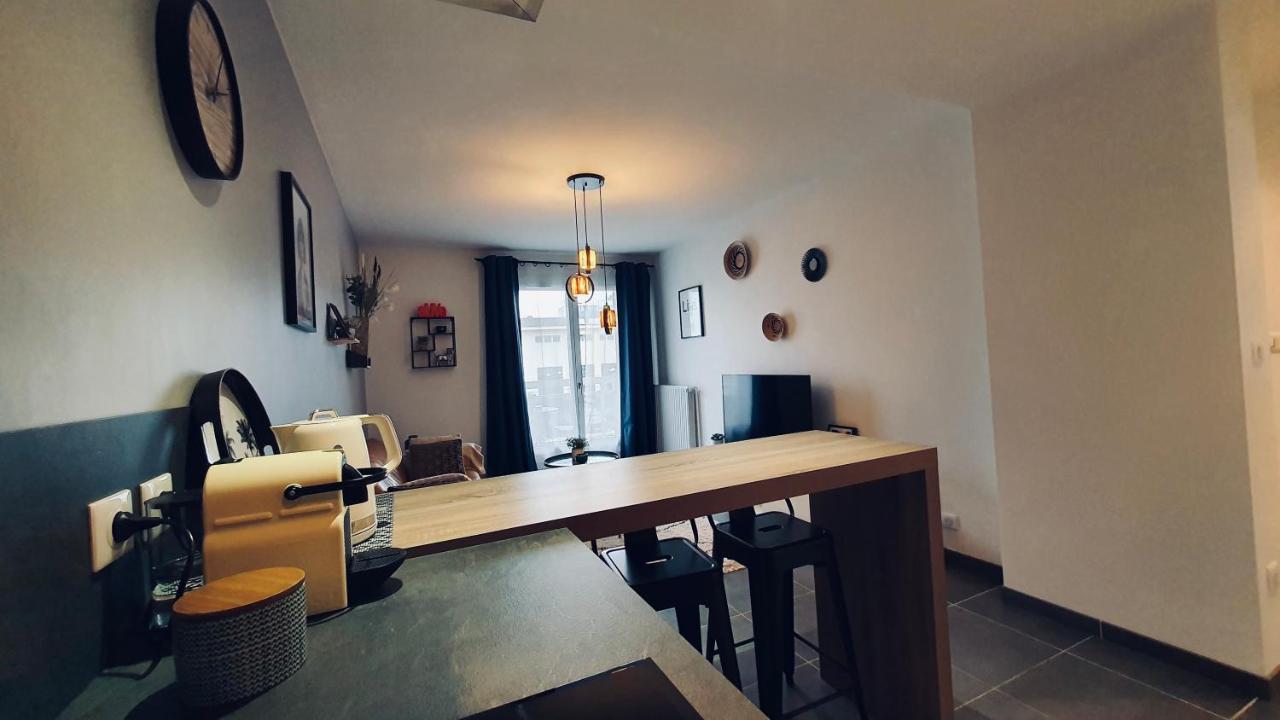 Apartament Le Continental Beau T2 Plein Centre + Parking Annecy Zewnętrze zdjęcie